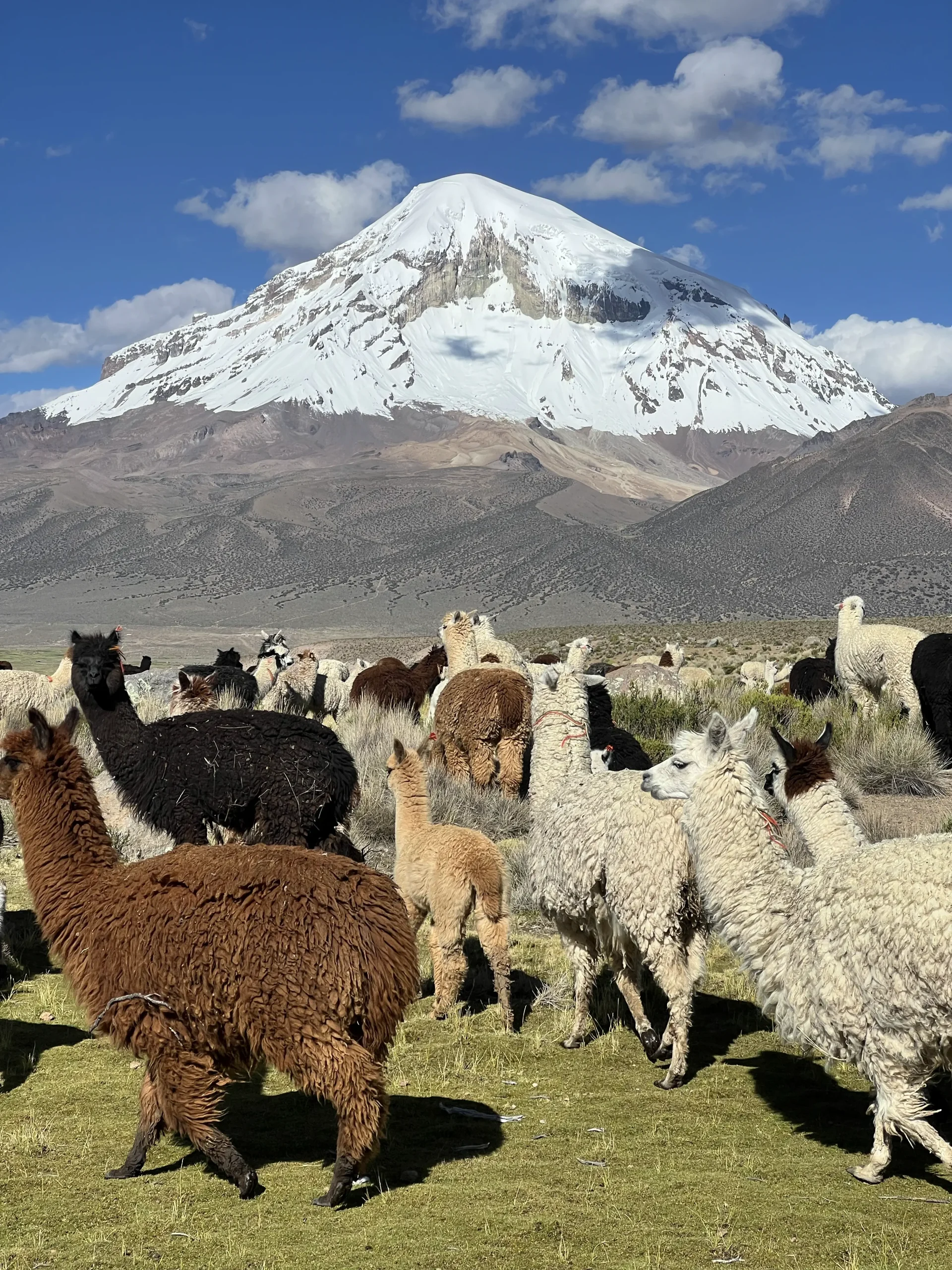 Que faire en Bolivie ? 
